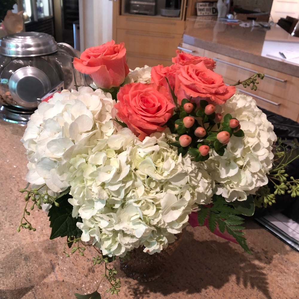 Meet your Posher, Nicoletta